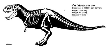 Vastastosaurus Rex Skeletal Drawing P By Jes R Speculativeevolution