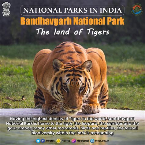 Moef Cc On Twitter Have You Visited Bandhavgarh Nationalpark In