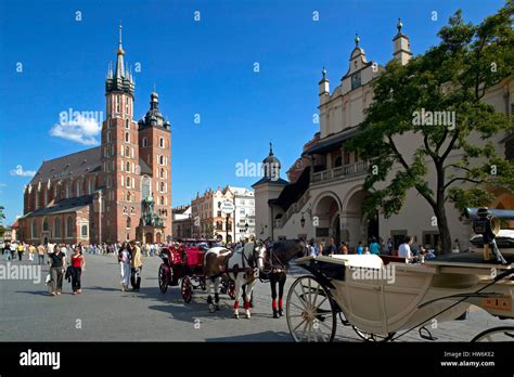 Saint Mary Basilica And Cloth Hall Sukiennice At The Main Square In