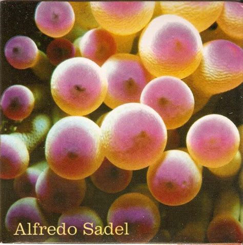 Alfredo Sadel Alfredo Sadel CD Discogs