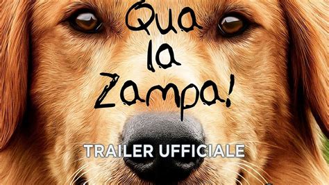 Qua La Zampa Trailer Italiano Ufficiale Hd Youtube