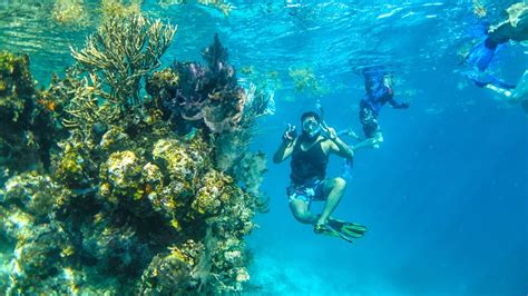 The Great Blue Hole Lighthouse Reef Atoll Snorkel San Pedro