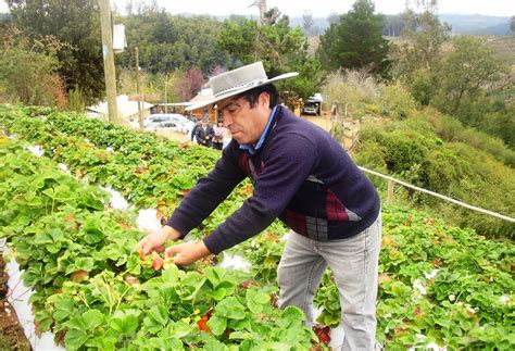 Realizar N Prueba De Suficiencia Para Operadores Del Programa De Suelos