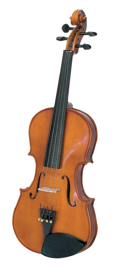 Violin Png Transparent Violinpng Images Pluspng