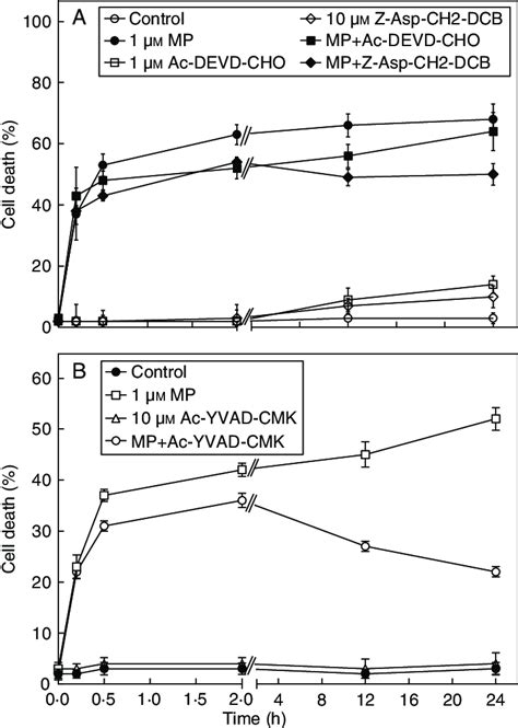 Temporal Pattern Of The Effect Of Caspase Inhibitors On Mp Induced Cell