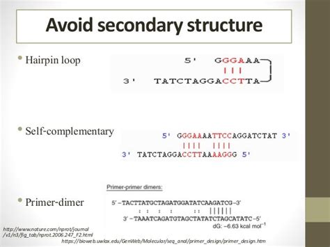 Pcr primer design english version