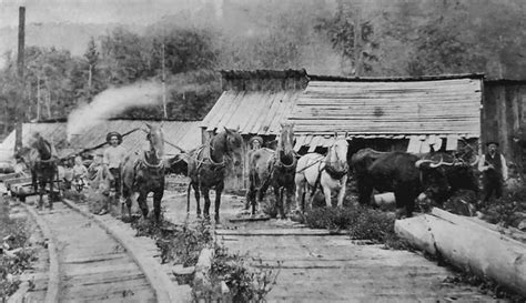 an old black and white photo of horses pulling wagons down the tracks ...