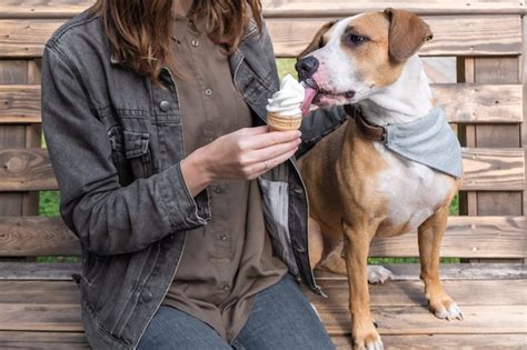 Malcriar Al Perro Con Helado Hembra Joven Da Cono De Helado De