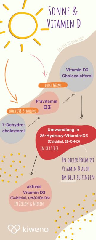 Vitamin D 7 Wirkungen du spüren sehen kannst kiweno