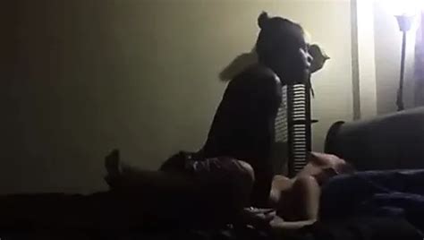 Free Korean BBC Porn Videos XHamster