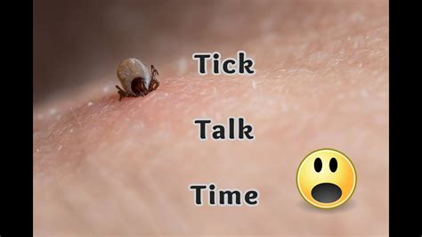 Ticks Tick Borne Diseases And The Importance Of Tick Testing Youtube