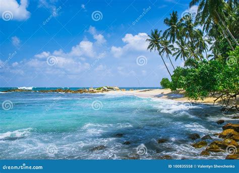 Playa Secreta En Mirissa Sri Lanka Foto De Archivo Imagen De Coco