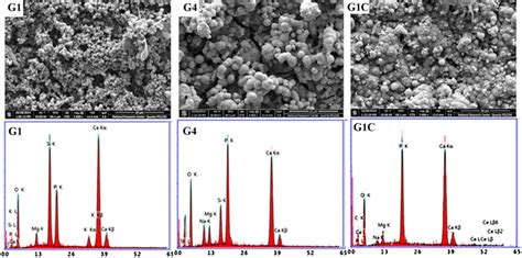 Sem Images And Edx Analysis Of The Crystalline Specimens After Download Scientific Diagram