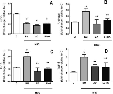 In Vitro Assay RAW 264 7 A Macrophage Cell Line Was Cocultured With