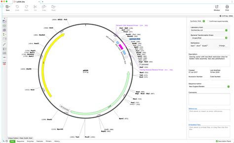 Snapgene Snapgene Molecular Biology