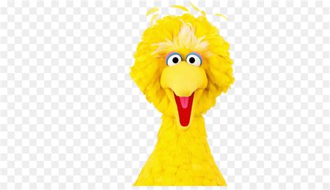 Free Big Bird Clipart Download Free Big Bird Clipart Png Images Free