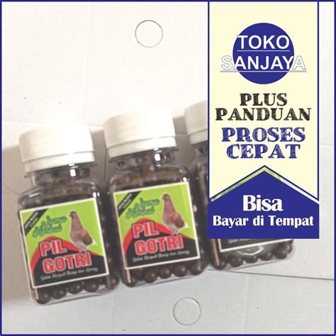 Jual Pil Gotri Merpati Jamu Burung Merpati Herbal Giring Stamina Full