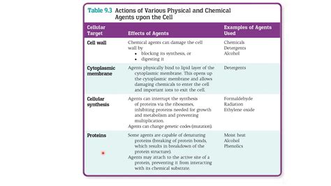 Physical And Chemical Control Of Microbes YouTube