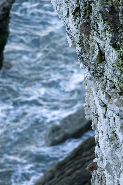 Bempton Cliffs | Cliff, Beach, Sea