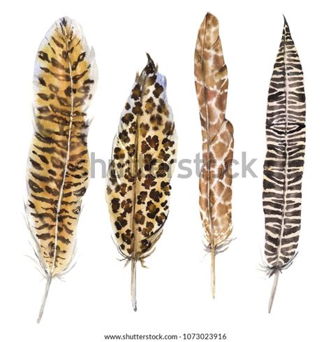 3,321 Leopard Feather Images, Stock Photos & Vectors | Shutterstock