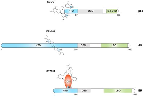 Biomolecules Free Full Text Biophysical And Integrative