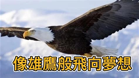 《你當像鳥飛往你的山》：一個人擺脫原生家庭束縛，需要經歷三次逃離 Youtube