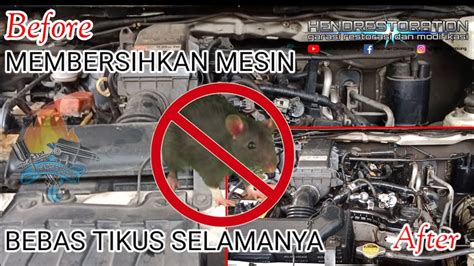 Membersihkan Mesin Mobil Dan Bebas Dari Tikus Bersih Kinclong