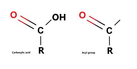 Acyl & Alkyl Groups | Definition, Structure & Differences | Study.com