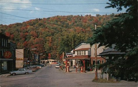 Business Section Roscoe, NY Postcard