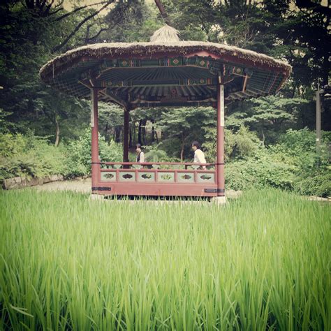 Changgyeonggung Palace Secret Garden by Tiger-sensei on DeviantArt