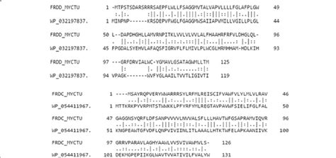 Sequence Alignments Corresponding To The M Tb Rv1555 FRDD MYCTU And