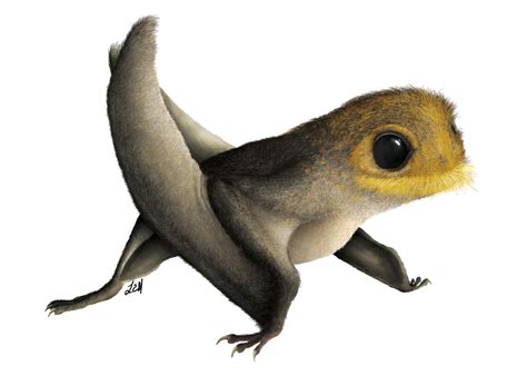 Pterosaurs Were A Diverse Group Of Mesozoic Flying Reptiles That Ruled