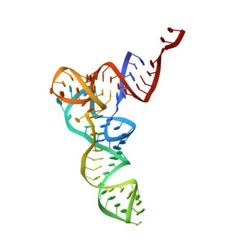 Rcsb Pdb 8g6y Structure Of Wt Li Ribosome 50s Subunit With