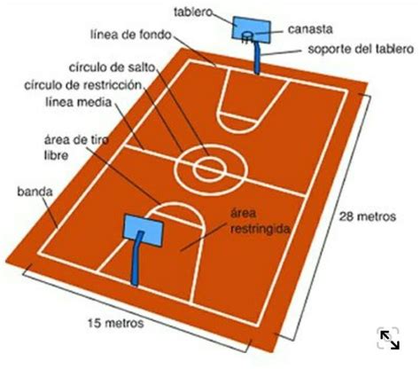 Cancha De Baloncesto Con Sus Partes Y Medidas Brainly Lat