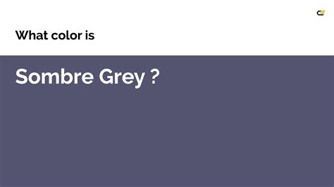 Sombre Grey Color 555470 Hex Color Violet Color Warm Color 555470