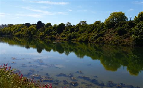 Fluss Pflanzen Reflexion Kostenloses Foto Auf Pixabay Pixabay