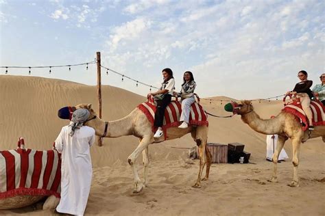 Dubai Wüstensafari bei Sonnenuntergang Kamelreiten Sandboard BBQ