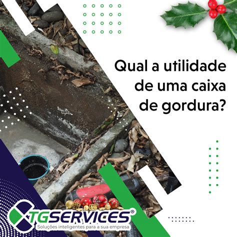 Qual A Utilidade De Uma Caixa De Gordura Tg Services