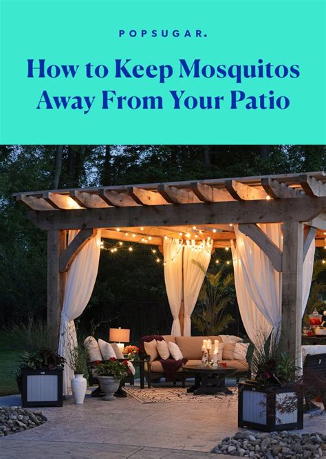 How To Keep Mosquitos Away From Your Patio Popsugar Home Photo