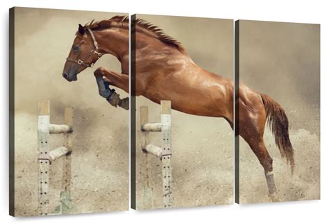 Powerful Jumping Horse Wall Art Photography