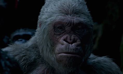 Winter Planet Of The Apes Wiki Fandom Powered By Wikia