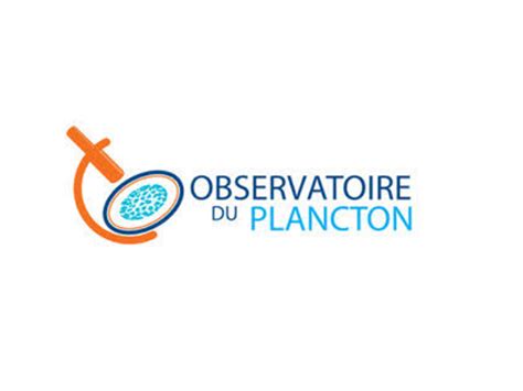 Formation Plancton Toile De Mer