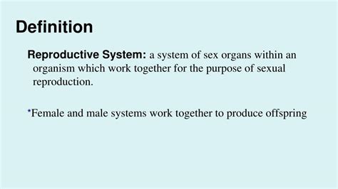 Ppt Reproductive S Ystem Powerpoint Presentation Free Download Id