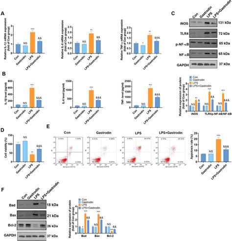 Gas Attenuated Lps Mediated Inflammatory Responses And Neuronal