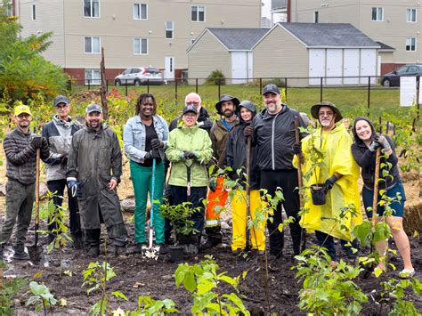 La Ville de Châteauguay du 5 au 12 octobre a réalisé la plantation d