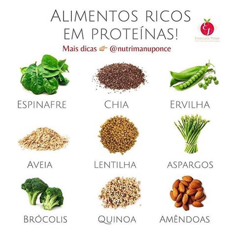 Alimentos Ricos Em ProteÍnas Frequência Mental