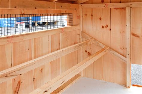 Best Steps To Turning A Shed Into A Chicken Coop The Henhouse Collection