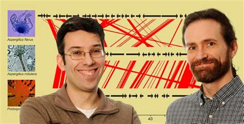 Discovery Of Jumping Gene Cluster Tangles Tree Of Life Vanderbilt