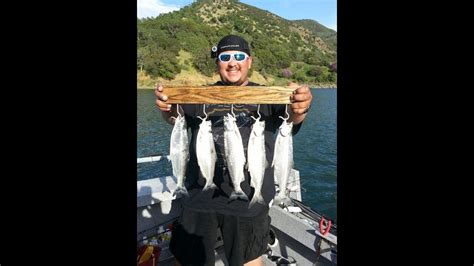 Lake Berryessa Salmon Fishing Youtube