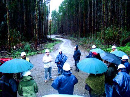 Organizaciones Comunitarias Participan Activamente En Recorrido A